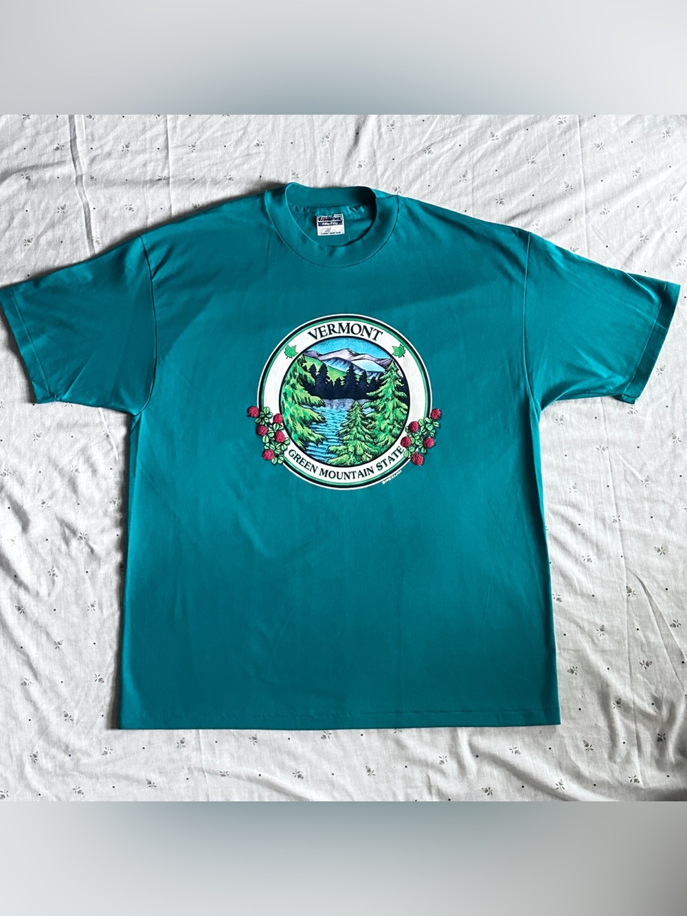 Vintage 90s Vermont Green Mountain State Graphic Tee - Hanes 50/50 - XL - USA